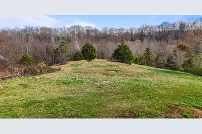 1729 Richmond Hill Church Road, Boonville, NC 27011 - Photo 44