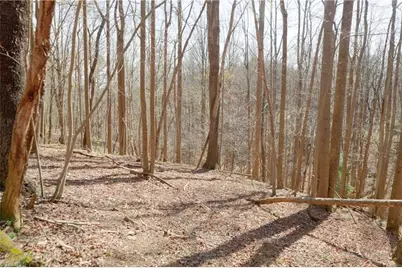 0 Seven Island Road, Danbury, NC 27016 - Photo 14