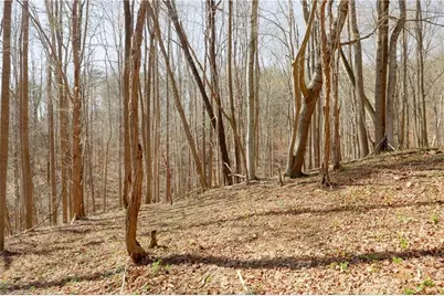 0 Seven Island Road, Danbury, NC 27016 - Photo 12