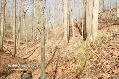 0 Seven Island Road, Danbury, NC 27016 - Photo 4