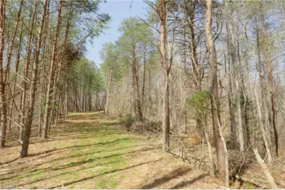 0 Seven Island Road, Danbury, NC 27016 - Photo 14