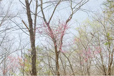 0 Seven Island Road, Danbury, NC 27016 - Photo 10