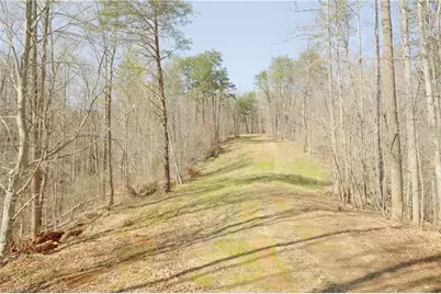 0 Seven Island Road, Danbury, NC 27016 - Photo 8