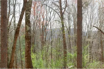 0 Seven Island Road, Danbury, NC 27016 - Photo 20