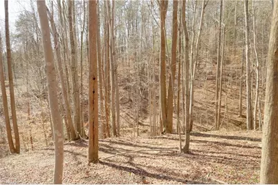 0 Seven Island Road, Danbury, NC 27016 - Photo 16