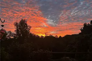 5915 Hollow Wood Ct, Winston-Salem, NC 27104 - Photo 36