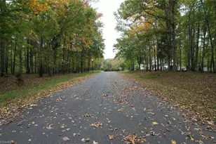 2610 Mackintosh Lake Ln, Whitsett, NC 27377 - Photo 1