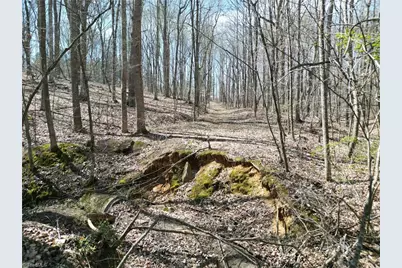 00 Tilden Nursery Road, Lexington, NC 27295 - Photo 12
