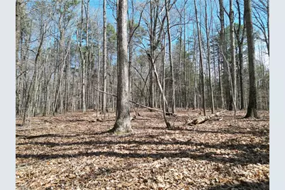 00 Tilden Nursery Road, Lexington, NC 27295 - Photo 2