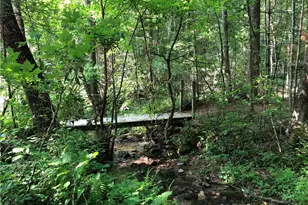 128 Deer Antler Dr, Purlear, NC 28665 - Photo 48