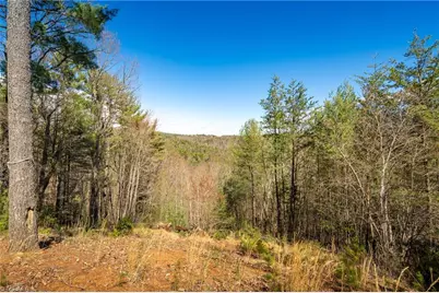 128 Deer Antler Drive, Purlear, NC 28665 - Photo 36