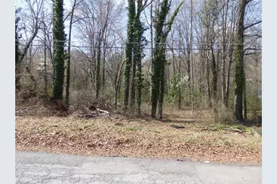 0 Chestnut Street, Asheboro, NC 27203 - Photo 4