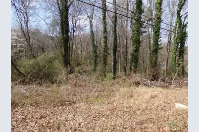 0 Chestnut Street, Asheboro, NC 27203 - Photo 2