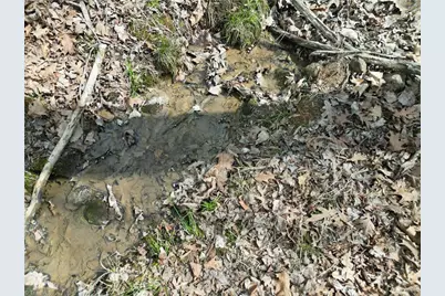 367 Rocky Cove Lane, Denton, NC 27239 - Photo 16