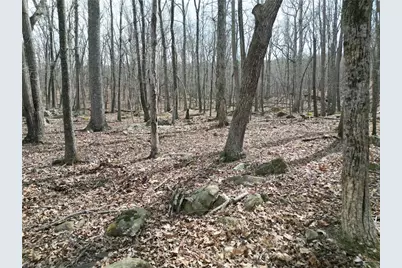 367 Rocky Cove Lane, Denton, NC 27239 - Photo 22