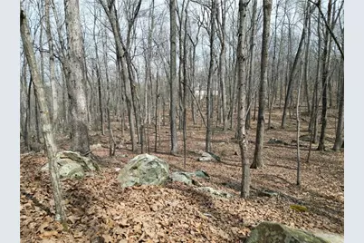 367 Rocky Cove Lane, Denton, NC 27239 - Photo 12