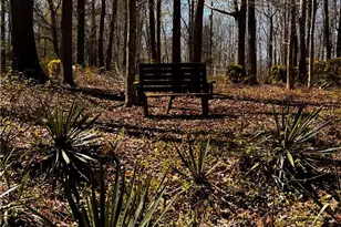 5610 Piney Grove Church Rd, Siler City, NC 27344 - Photo 46