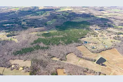 12 David Moore Road, Burlington, NC 27217 - Photo 10