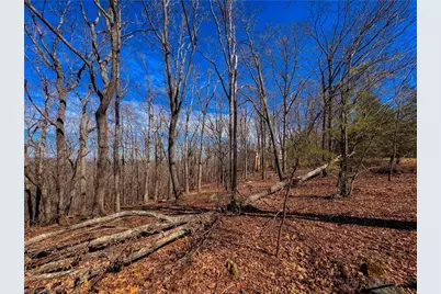 2171 Sierra Trace Road, Denton, NC 27239 - Photo 10