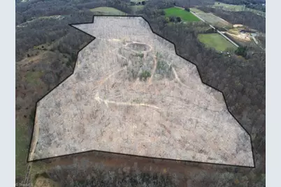 8220 Southerland Drive, Browns Summit, NC 27214 - Photo 4