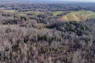 251 Rousseau Farm Rd, Wilkesboro, NC 28697 - Photo 22