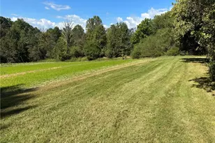 251 Rousseau Farm Rd, Wilkesboro, NC 28697 - Photo 6