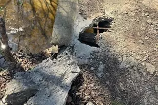 251 Rousseau Farm Rd, Wilkesboro, NC 28697 - Photo 32