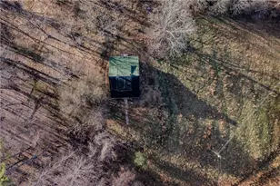 251 Rousseau Farm Rd, Wilkesboro, NC 28697 - Photo 16