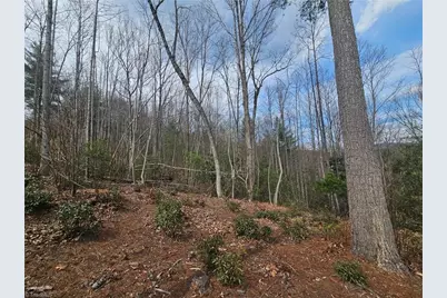 Lot 2 Widow Mountain Drive, McGrady, NC 28635 - Photo 4