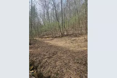 Lot 2 Widow Mountain Drive, McGrady, NC 28635 - Photo 26