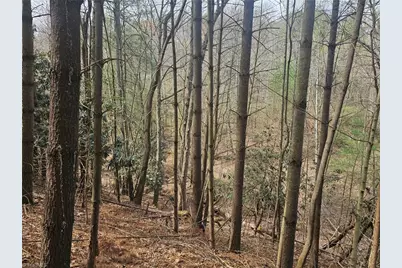 Lot 2 Widow Mountain Drive, McGrady, NC 28635 - Photo 20