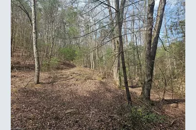 Lot 2 Widow Mountain Drive, McGrady, NC 28635 - Photo 20