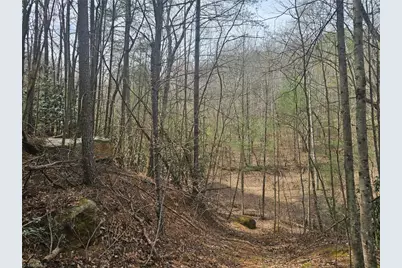 Lot 2 Widow Mountain Drive, McGrady, NC 28635 - Photo 22