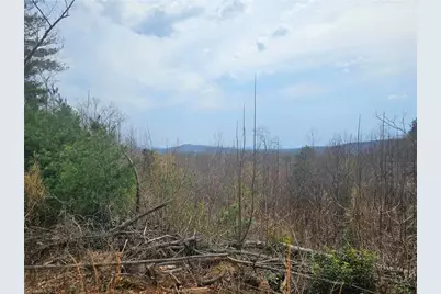 Lot 2 Widow Mountain Drive, McGrady, NC 28635 - Photo 4