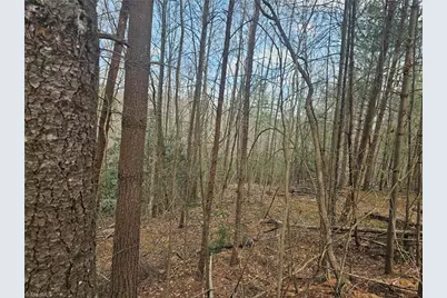 Lot 2 Widow Mountain Drive, McGrady, NC 28635 - Photo 16