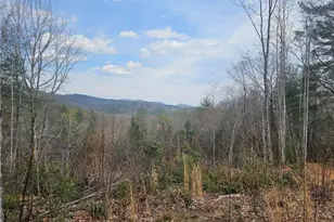 Lot 2 Widow Mountain Dr, McGrady, NC 28635 - Photo 1
