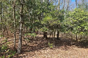 Tbd Mt Retreat Rd, Roaring Gap, NC 28668 - Photo 1