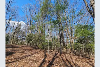 Tbd Mt. Retreat Road, Roaring Gap, NC 28668 - Photo 8