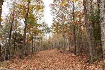 Tbd US Highway 421, Ferguson, NC 28624 - Photo 24