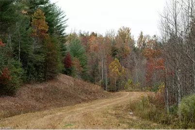 Tbd US Highway 421, Ferguson, NC 28624 - Photo 6