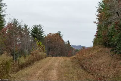 Tbd US Highway 421, Ferguson, NC 28624 - Photo 14