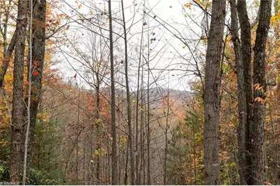 Tbd US Highway 421, Ferguson, NC 28624 - Photo 22