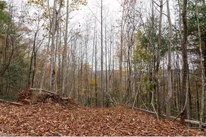 Tbd US Highway 421, Ferguson, NC 28624 - Photo 16