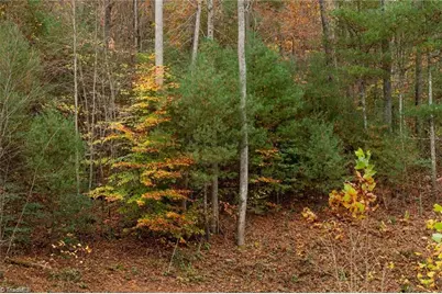 Tbd US Highway 421, Ferguson, NC 28624 - Photo 12