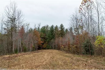 Tbd US Highway 421, Ferguson, NC 28624 - Photo 10