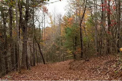 Tbd US Highway 421, Ferguson, NC 28624 - Photo 30