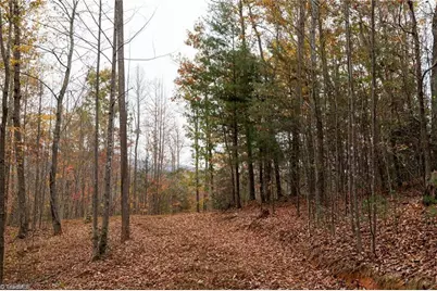 Tbd US Highway 421, Ferguson, NC 28624 - Photo 18