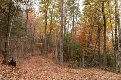 Tbd US Highway 421, Ferguson, NC 28624 - Photo 32