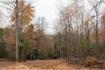 Tbd US Highway 421, Ferguson, NC 28624 - Photo 20