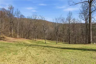 1084 Rocky Headwaters Rd, Moravian Falls, NC 28654 - Photo 38